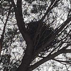 Meet your Posher, Rod